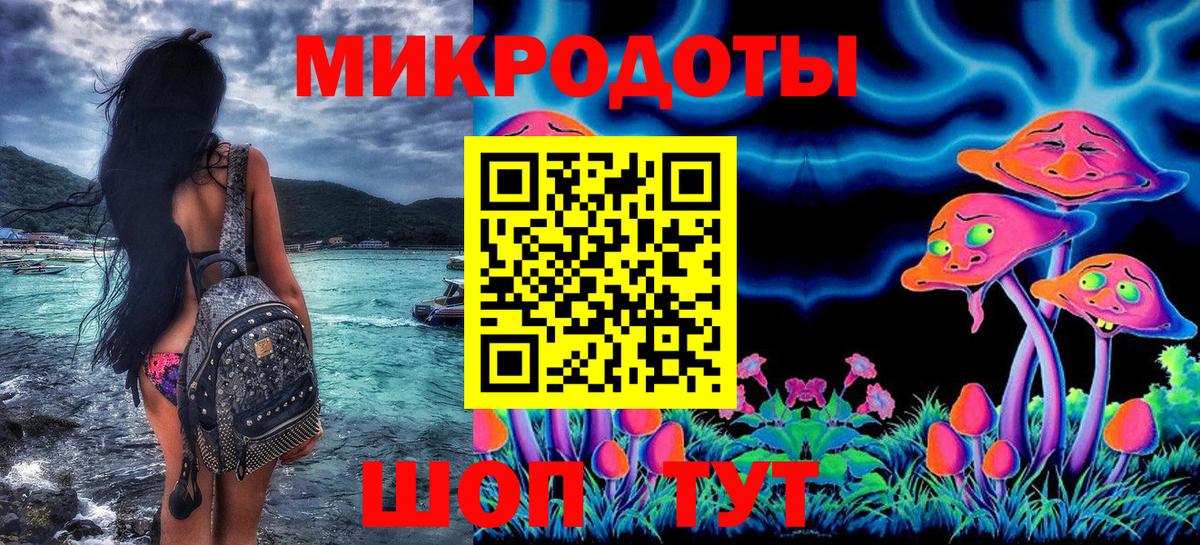 Галлюциногенные грибы Psilocybine cubensis  Вход с VPN  Кингисепп 