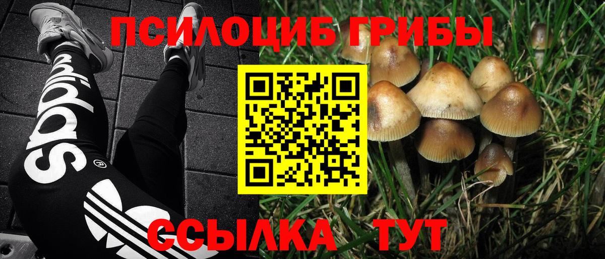 Галлюциногенные грибы прущие грибы Кингисепп